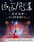 区区风华封面