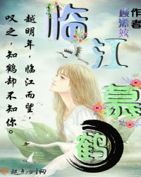 临江慕鹤封面