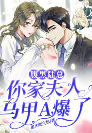 腹黑陆总，你家夫人马甲A爆了封面