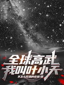 全球高武：我叫叶小天封面