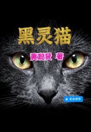 黑灵猫封面