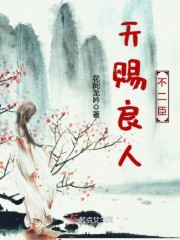 天赐良人不二臣封面