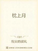枕上月封面