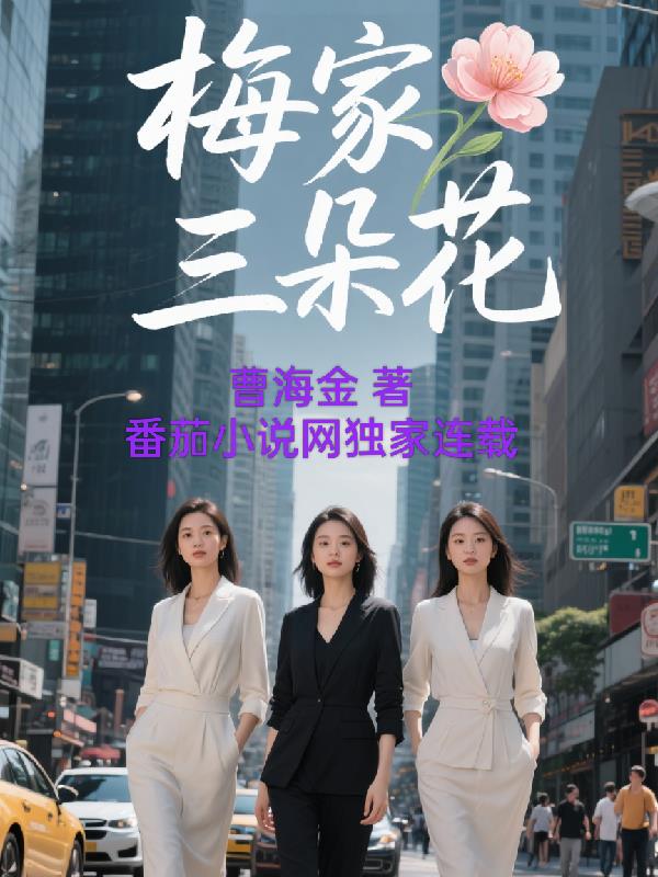 梅家三朵花封面