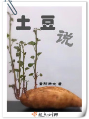 土豆说封面