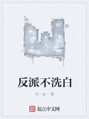 反派不洗白封面