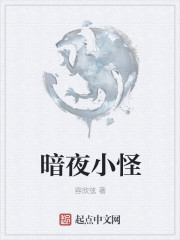 暗夜小怪封面