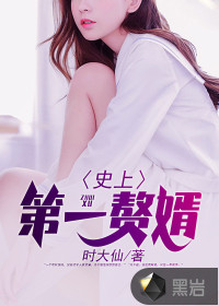 史上第一赘婿封面