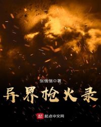 异界枪火录封面