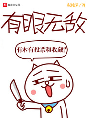 有眼无敌封面
