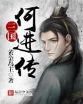 三国何进传封面