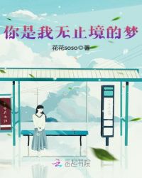 你是我无止境的梦封面