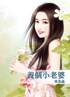 养个小老婆封面