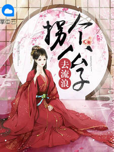 拐个公子去流浪封面