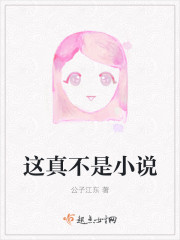 这真不是小说封面