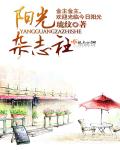 阳光杂志社封面