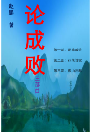 论成败封面