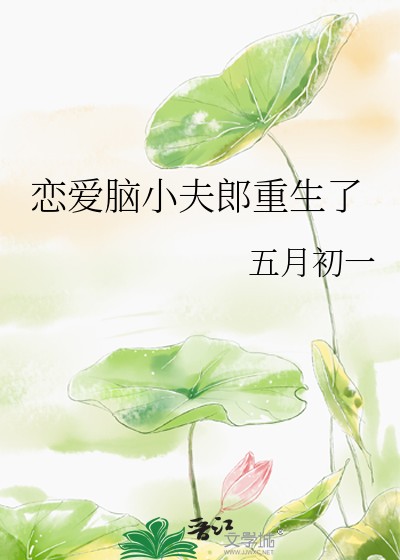 恋爱脑小夫郎重生了封面