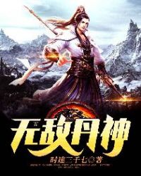 无敌丹神封面