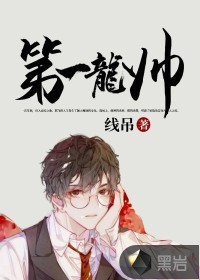 第一龙帅封面