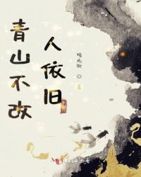 青山不改人依旧之盛国篇封面