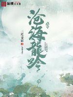 沧海龙吟封面