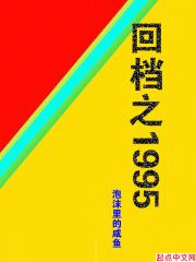 回档之1995封面