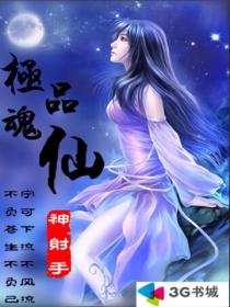 极品魂仙封面
