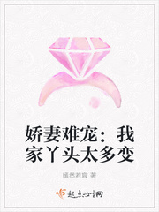 娇妻难宠：我家丫头太多变封面