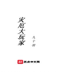 灾厄大玩家封面