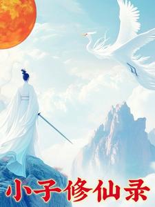 小子修仙传封面