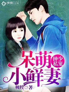 钟少私宠：呆萌小鲜妻封面