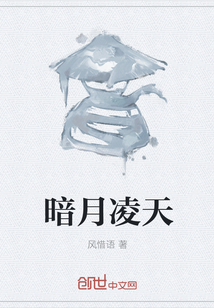 暗月凌天封面