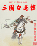 三国白马枪封面