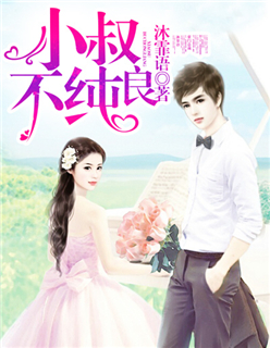 小叔不纯良封面