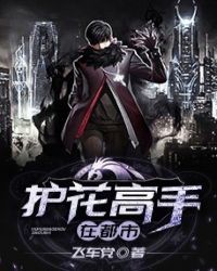 护花高手在都市封面