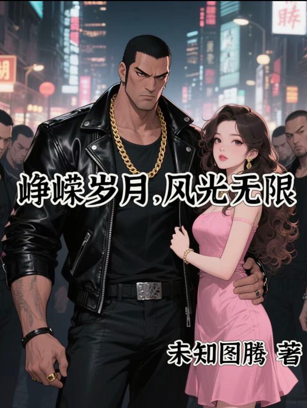 峥嵘岁月,风光无限封面