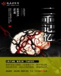 二重记忆封面