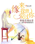 缘来我曾爱过你封面