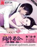 高冷老公迷糊妻封面