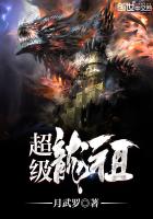 超级龙祖封面