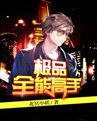 极品全能高手封面