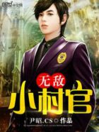 无敌小村官封面