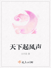 天下起风声封面