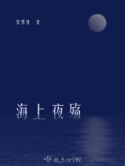 海上夜殇封面
