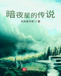 暗夜星的传说封面