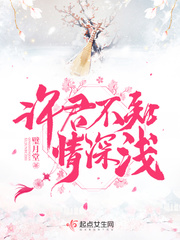 许君不知情深浅封面