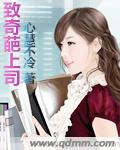 致奇葩上司封面