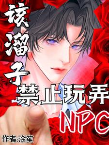 该溜子禁止玩弄NPC封面