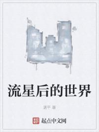 流星后的世界封面